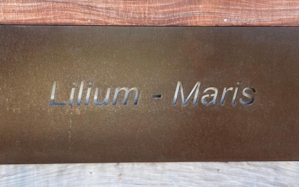 Hotel Lilium Maris Tizzano Exteriör bild